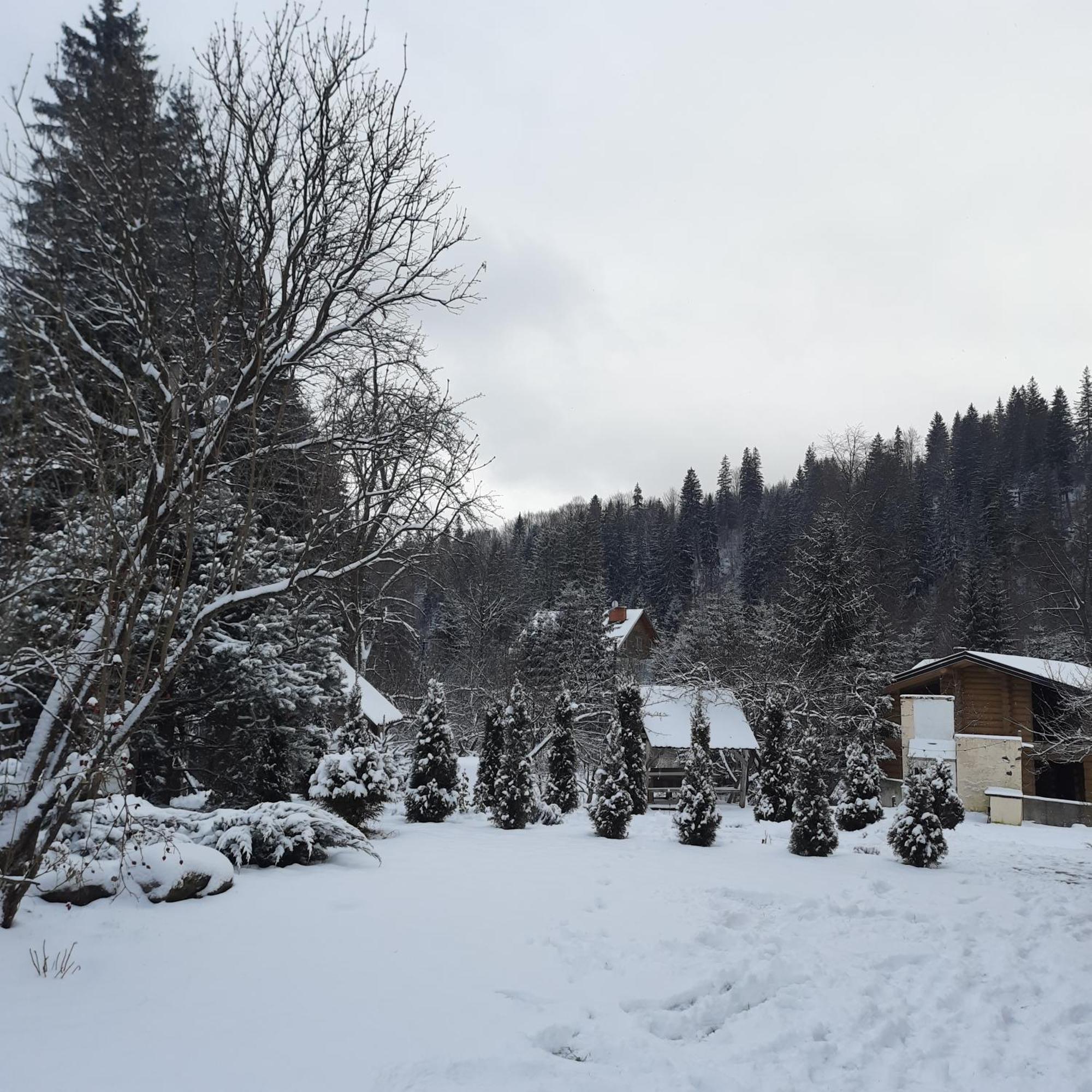 Arnika Tatariv Hotell Exteriör bild